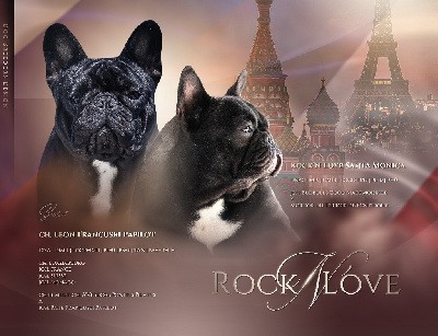Rock'n Love - Bouledogue français - Portée née le 18/02/2023